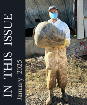 In this Issue